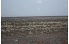 Property photo 51 - Kansas Land Auction - 960 Acres - 7 Farms in 3 Counties